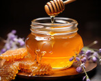 Bal ve Arı Ürünleri