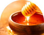 Bal ve Arı Ürünleri