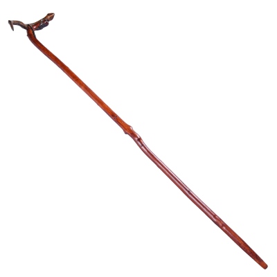 nusnus - Devrek Walking Stick with Chameleon Head No:17