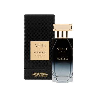 Niche Exclusive Allegria EDP 100 ML Erkek Parfüm - Thumbnail