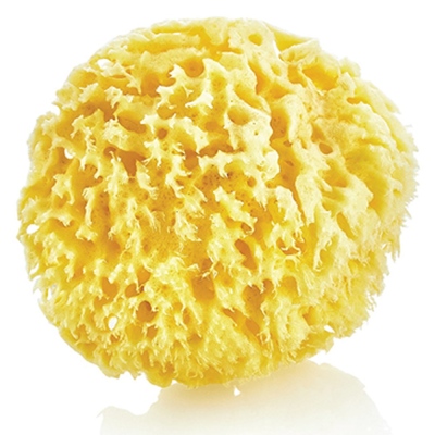 nusnus - Nusnus Natural Sea Sponge