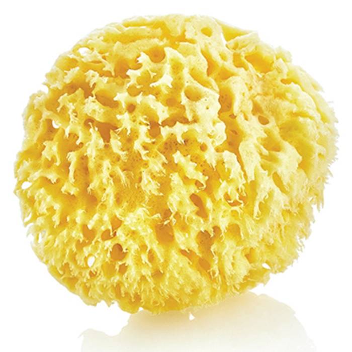 Nusnus Natural Sea Sponge