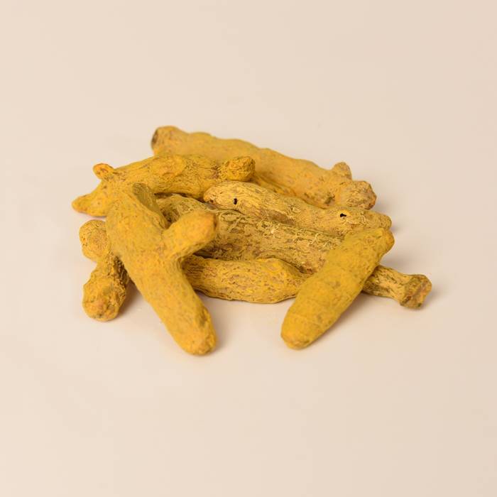 Root Turmeric