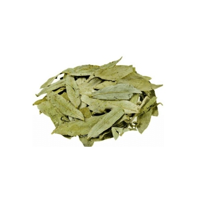 nusnus - Nusnus Cassia Tea