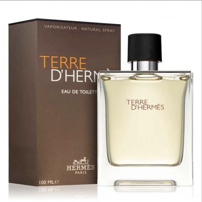 HERMES - Terre D'Hermes 100 ml Edt Erkek Parfüm