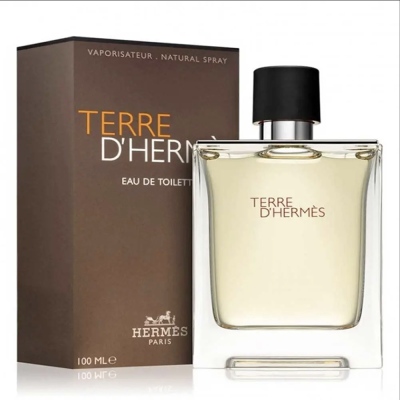 Hermes - Terre D'Hermes 100 ml Edt Men's Perfume